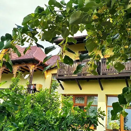 Hotel Casa Cu Tei 2*